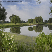 Buy canvas prints of Heron pond on a mid summers day by Kevin White