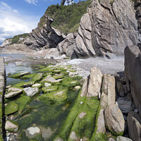 Buy canvas prints of Coombe Martin  rugged rock pools by Kevin White