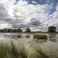 Buy canvas prints of Morning clouds over Heron pond Bushy Park by Kevin White