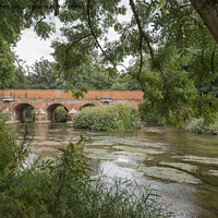 Buy canvas prints of River path view of Leatherhead bridge by Kevin White