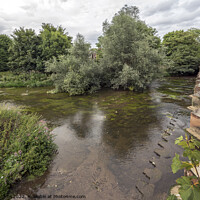 Buy canvas prints of River flowing under Leatherhead bridge by Kevin White