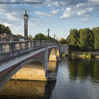 Buy canvas prints of Evening light at Hampton Court Bridge by Kevin White