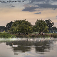 Buy canvas prints of Dawn wildlife at ponds in Bushy Park by Kevin White