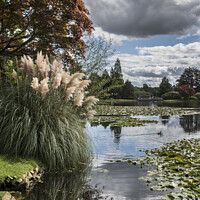 Buy canvas prints of Sheffield Park  by Kevin White