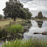 Buy canvas prints of Oasis of beauty near London by Kevin White