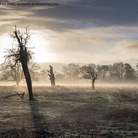 Buy canvas prints of Spooky moody misty morning by Kevin White