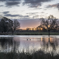 Buy canvas prints of January sunrise over heron pond Bushy Park by Kevin White