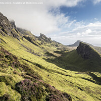 Buy canvas prints of Heather growing high up on the Quiraings mountains by Kevin White