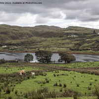 Buy canvas prints of Farm by loch at Struan by Kevin White