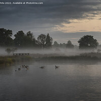 Buy canvas prints of Spooky light at Bushy Park by Kevin White