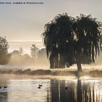 Buy canvas prints of Morning full of atmosphere by Kevin White
