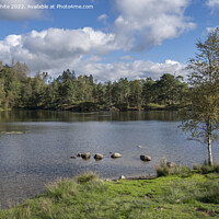 Buy canvas prints of Tarn Hows view from near car park by Kevin White
