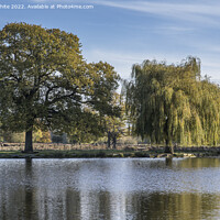 Buy canvas prints of View across Heron pond Bushy Park by Kevin White