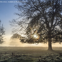 Buy canvas prints of Sunlight  through the mist by Kevin White