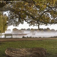 Buy canvas prints of Sitting under the trees watching the mist by Kevin White