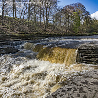 Buy canvas prints of The mighty Aysgarth falls Yorkshire Dales by Kevin White