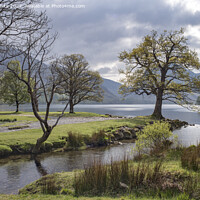Buy canvas prints of Stream beside Buttermere  by Kevin White