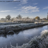 Buy canvas prints of Christmas card frost by Kevin White