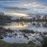Buy canvas prints of Cold early January dawn at Bushy Park by Kevin White