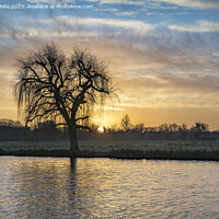Buy canvas prints of January beautiful sunrise at Bushy Park ponds by Kevin White