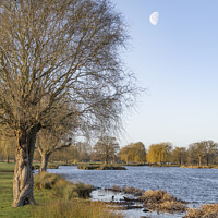 Buy canvas prints of Half moon over Heron pond Bushy Park by Kevin White