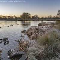 Buy canvas prints of Cold January morning at Bushy Park  by Kevin White
