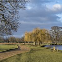 Buy canvas prints of February dawn at Bushy Park ponds by Kevin White
