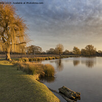 Buy canvas prints of Winter sunrise golden light at Bushy Park ponds by Kevin White