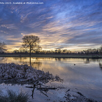 Buy canvas prints of Frosty February sunrise at Bushy Park ponds by Kevin White