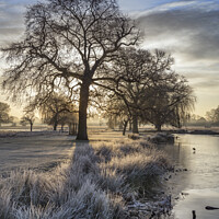 Buy canvas prints of February sunrise over a frosty pond by Kevin White