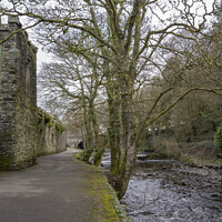 Buy canvas prints of Tavistock riverside walk by Kevin White