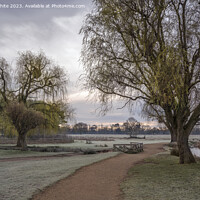 Buy canvas prints of Walk between the ponds at dawn in Bushy Park by Kevin White