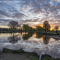 Buy canvas prints of Perfect golden hour at Bushy Park by Kevin White