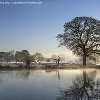 Buy canvas prints of Morning misty sunshine in April by Kevin White
