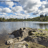 Buy canvas prints of Tarn Hows in September by Kevin White