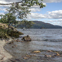 Buy canvas prints of Upright view of Ullswater by Kevin White