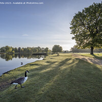 Buy canvas prints of Morning stroll in the park by Kevin White