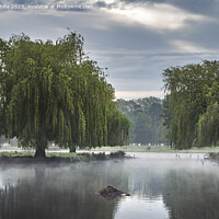 Buy canvas prints of Weeping Willow and hovering mist by Kevin White