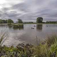 Buy canvas prints of Atmospheric sky early morning at Bushy Park ponds by Kevin White