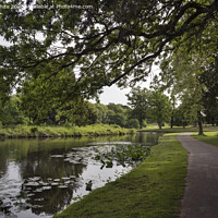 Buy canvas prints of Lake walk at Painshill Park Cobham by Kevin White