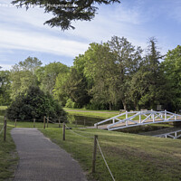 Buy canvas prints of Painshill Park path down to wooden bridge by Kevin White
