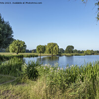 Buy canvas prints of Clear blue skies at Bushy Park Surrey by Kevin White