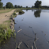 Buy canvas prints of Low water level at Bushy Park by Kevin White