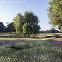 Buy canvas prints of Cycle and walking path mid summer at Bushy Park in Surrey by Kevin White