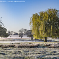 Buy canvas prints of Natures wonderland of frost mist and sunshine by Kevin White