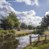 Buy canvas prints of Bushy park stream and ponds view from carpark by Kevin White