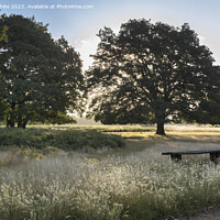 Buy canvas prints of Old wooden bench in the long grass by Kevin White