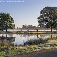 Buy canvas prints of Freshness of an early morning walk by Kevin White