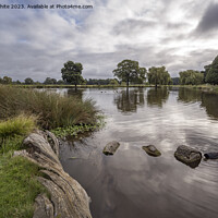 Buy canvas prints of Bushy Park a magical place by Kevin White