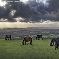 Buy canvas prints of Evening storm clouds gathering over Tavistock and the Dartmoor h by Kevin White